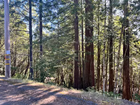 25143 Blue Jay Pl, Willits, CA 95490 photo 3