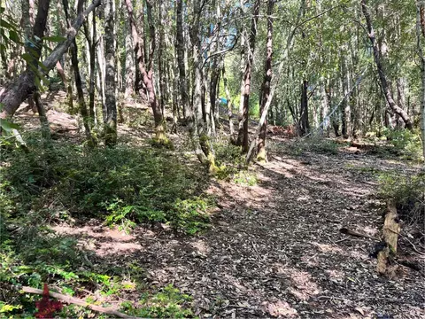25143 Blue Jay Pl, Willits, CA 95490