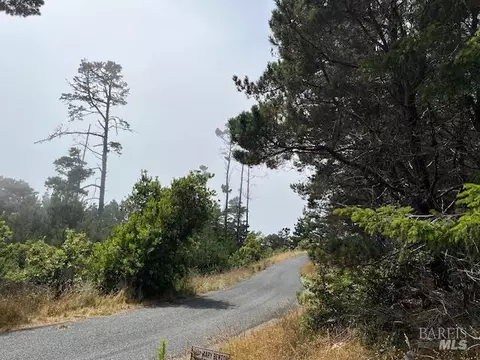 22091 Lee Dr, Timber Cove, CA 95450