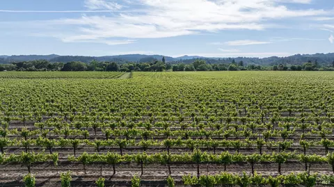 374 Kinley Dr, Healdsburg, CA 95448