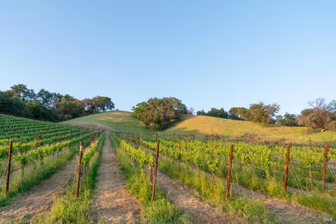 21350 River Rd, Geyserville, CA 95441 photo 11