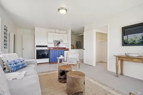 160 3rd St, Point Reyes Station, CA 94956 photo 35