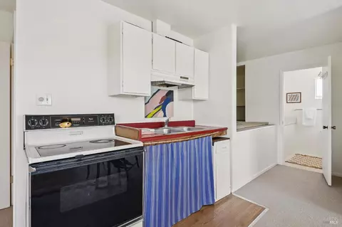 160 3rd St, Point Reyes Station, CA 94956 photo 36
