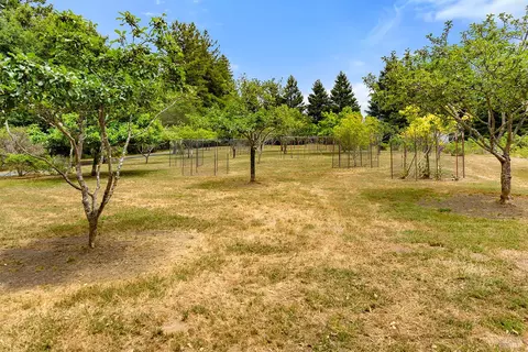 Exterior - 17010 Burl Ln, Occidental, CA 95465 photo 24 of 33