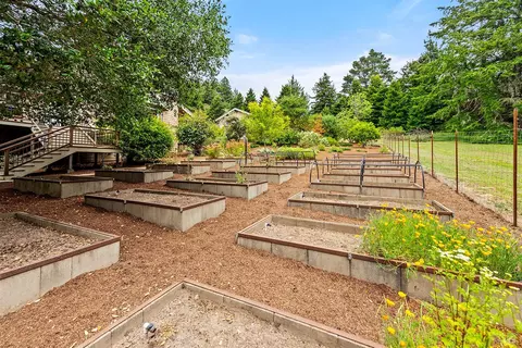 Exterior - 17010 Burl Ln, Occidental, CA 95465 photo 17 of 33