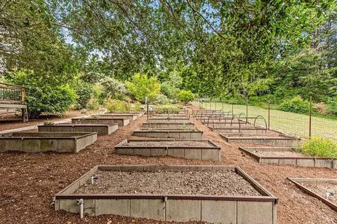 Other - 17010 Burl Ln, Occidental, CA 95465 photo 2 of 14