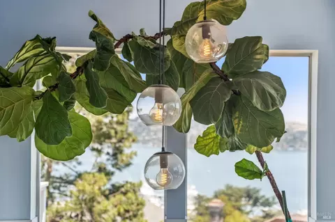 Other - 231 Cazneau Ave, Sausalito, CA 94965 photo 2 of 6