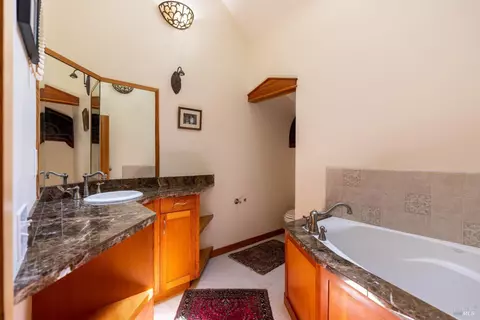 66 Spring Rd, Lagunitas, CA 94938 photo 19