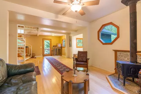 66 Spring Rd, Lagunitas, CA 94938 photo 5
