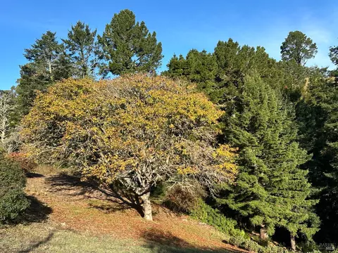 65 Ridge Ave, Mill Valley, CA 94941 photo 18