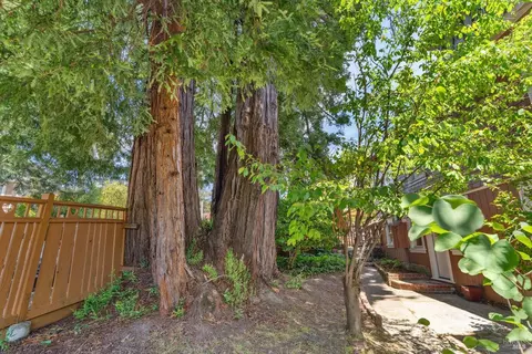 54 Mountain View Ave, Mill Valley, CA 94941 photo 43