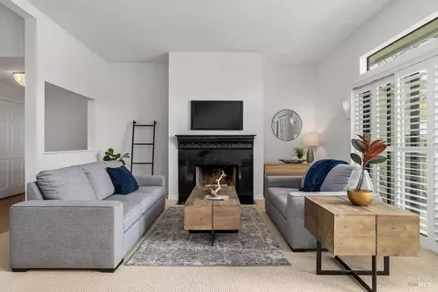 Living - 36 Eucalyptus Knoll St, Mill Valley, CA 94941 photo 3 of 8