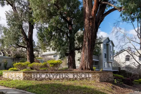 Other - 36 Eucalyptus Knoll St, Mill Valley, CA 94941 photo 5 of 7