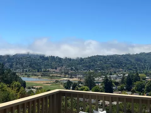 10 Dickens Ct, Mill Valley, CA 94941 photo 53