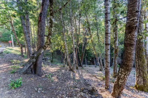 Exterior - 23350 Iris Ln, Willits, CA 95490 photo 9 of 9