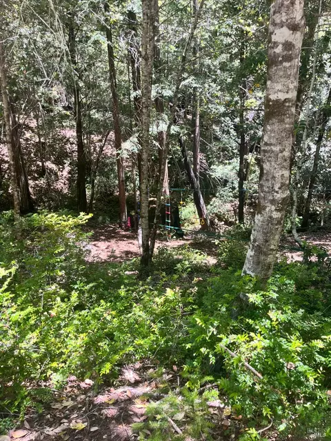 24413 Rose Ter, Willits, CA 95490