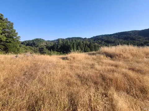 Exterior - 18650 Walker Rd, Willits, CA 95490 photo 13 of 36