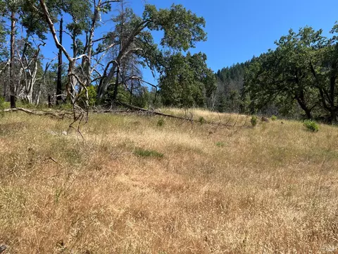 20925 Mid Mountain Rd, Lake, CA 95469 photo 3