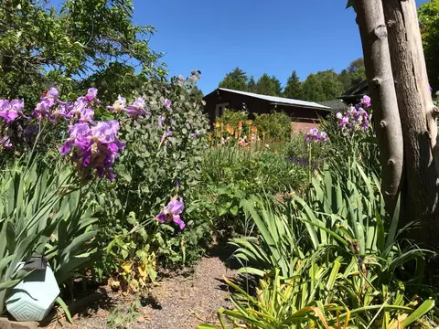 5820 Ruddock Rd N, Philo, CA 95466 photo 34