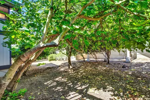 Exterior - 25 Knoll Dr, Fairfield, CA 94534 photo 15 of 21