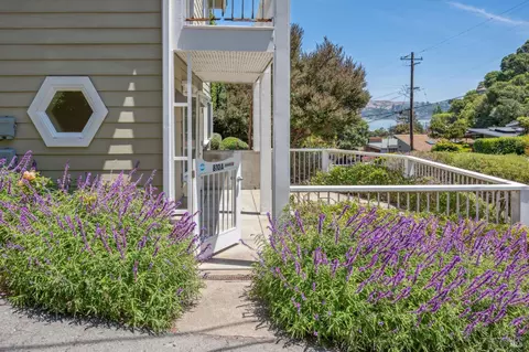 Other - 810 Spring St, Sausalito, CA 94965 photo 6 of 12