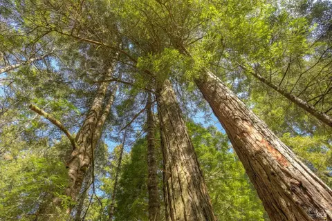 35205 Fly Cloud Rd, The Sea Ranch, CA 95497