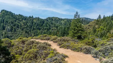 Other - 17440 Shafer Ranch Rd, Willits, CA 95490 photo 10 of 13