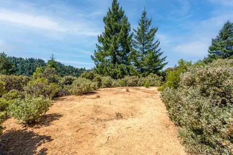 Exterior - 17440 Shafer Ranch Rd, Willits, CA 95490 photo 12 of 13