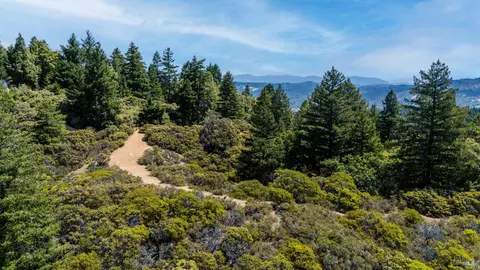 Other - 17440 Shafer Ranch Rd, Willits, CA 95490 photo 11 of 13