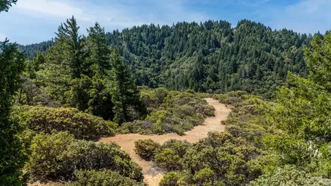 Other - 17440 Shafer Ranch Rd, Willits, CA 95490 photo 9 of 13