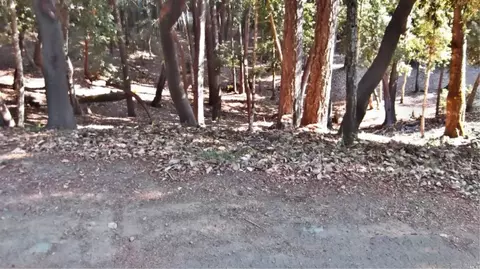 26931 Bear Dr, Willits, CA 95490