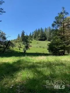 Other - Undisclosed, Willits, CA 95490 photo 5 of 10