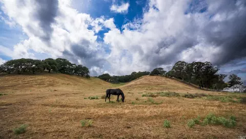 0 Foster Rd, Napa, CA 94558