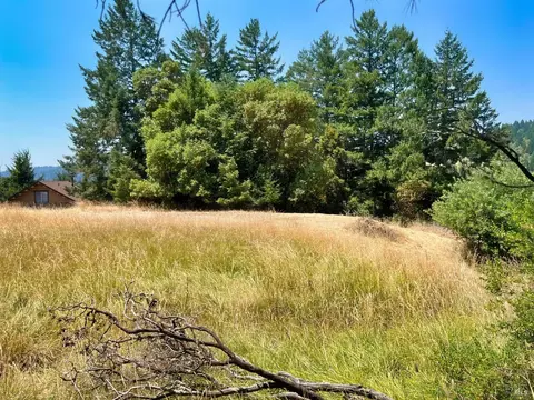 27241 Poppy Dr, Willits, CA 95490