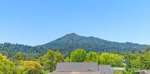 15 Stetson Ave, Kentfield, CA 94904