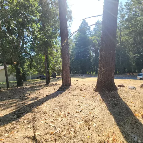 25331 Sherwood Rd, Willits, CA 95490 photo 11