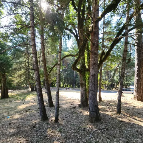 25331 Sherwood Rd, Willits, CA 95490