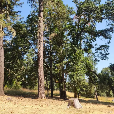 25331 Sherwood Rd, Willits, CA 95490 photo 8