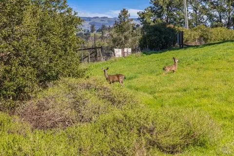 511 Fairview Ct, Petaluma, CA 94952 photo 25