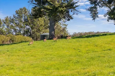 511 Fairview Ct, Petaluma, CA 94952