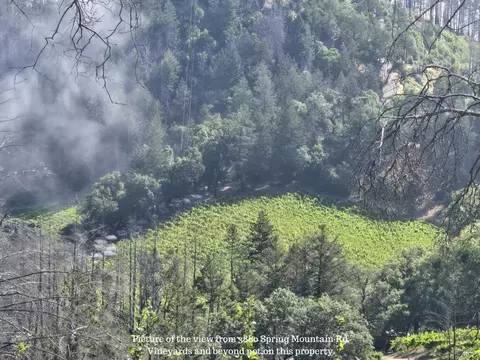 3880 Spring Mountain Rd, Saint Helena, CA 94574