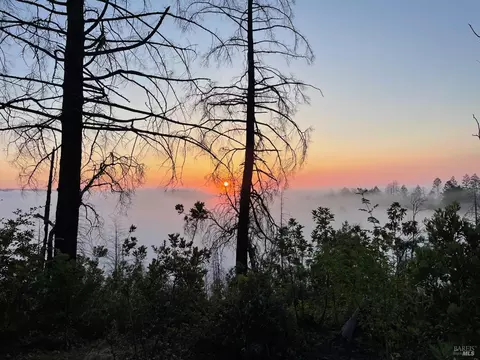 3880 Spring Mountain Rd, Saint Helena, CA 94574