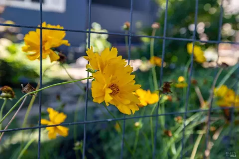 Other - 613 Jennings Ave, Vallejo, CA 94591 photo 8 of 9