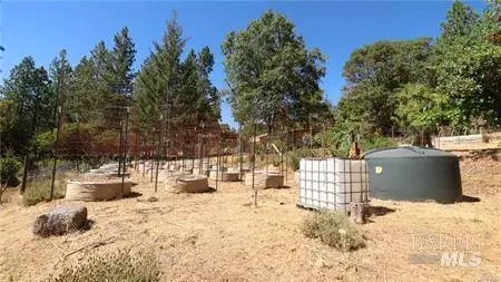 11444 Bottle Rock Rd, Kelseyville, CA 95451 photo 8