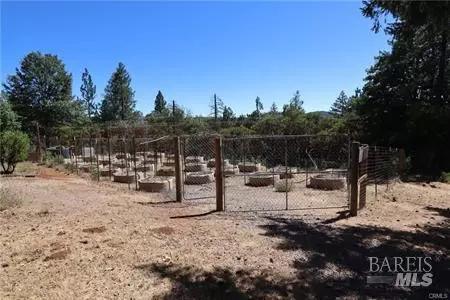 11444 Bottle Rock Rd, Kelseyville, CA 95451 photo 6