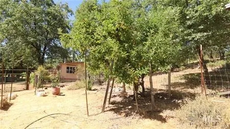 11444 Bottle Rock Rd, Kelseyville, CA 95451 photo 10