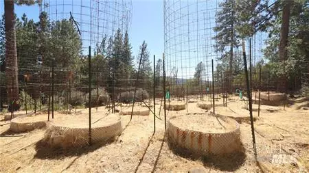 11444 Bottle Rock Rd, Kelseyville, CA 95451 photo 26