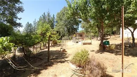 11444 Bottle Rock Rd, Kelseyville, CA 95451 photo 7
