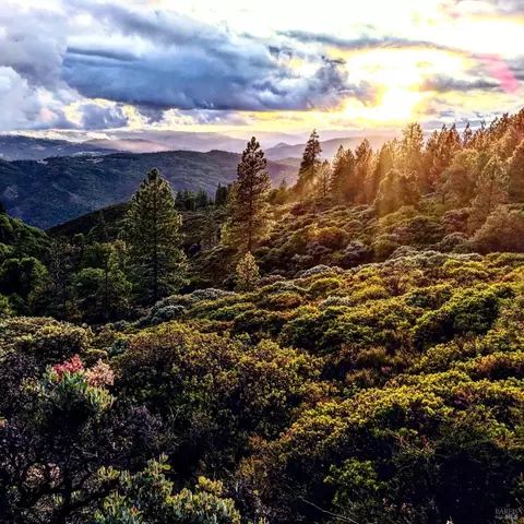 47700 Bentley Ridge Rd, Covelo, CA 95428