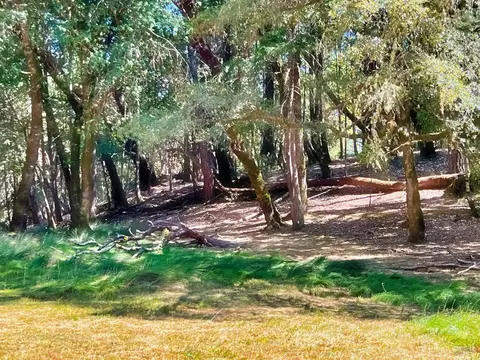 23849 Daisy Ct, Willits, CA 95490 photo 5